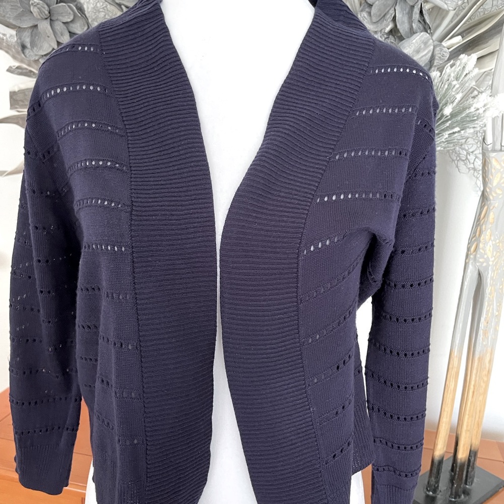 Blue Cropped Sweater